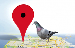 Google Update For SEO:The SEO Updates are directly propor... Google Update For SEO:The SEO Updates are directly propor...