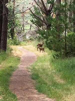 WEEKEND ESCAPE at INVERNESS and POINT REYES NATIONAL SEASHORE, CA, Guest Post by Matt Arnold