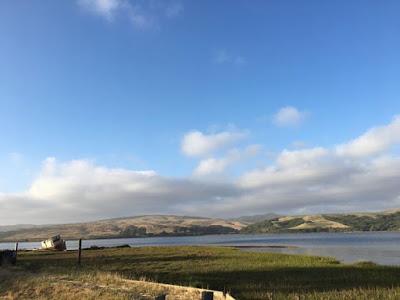 WEEKEND ESCAPE at INVERNESS and POINT REYES NATIONAL SEASHORE, CA, Guest Post by Matt Arnold