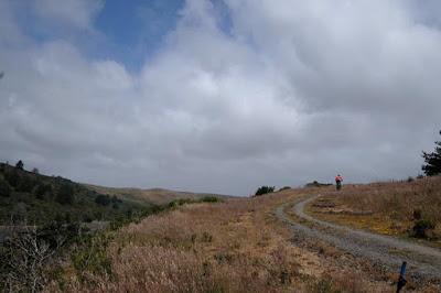 WEEKEND ESCAPE at INVERNESS and POINT REYES NATIONAL SEASHORE, CA, Guest Post by Matt Arnold