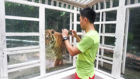 Our animal encounters in Safari World Bangkok