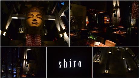 Dumplings and Drinks – Shiro