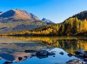 Quote Independence Edition