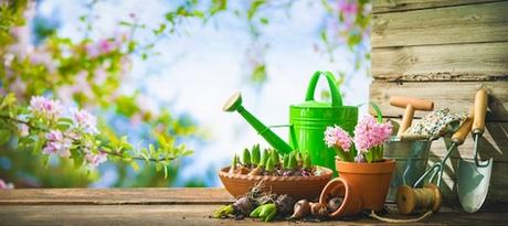 5 Tasks to Keep Your Summer Garden Singing