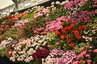 RHS Hampton Court Flower Show 2018 part 1 -The Floral Marquee