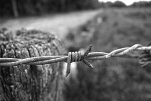 POEM: Fallen Fence