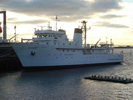 Marine Institute in Tamilnadu