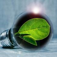 Making Your Business Eco-Friendly