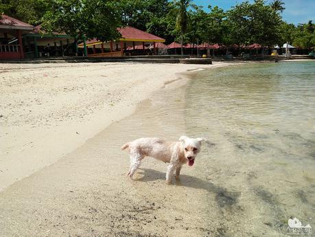 Enjoying the sea