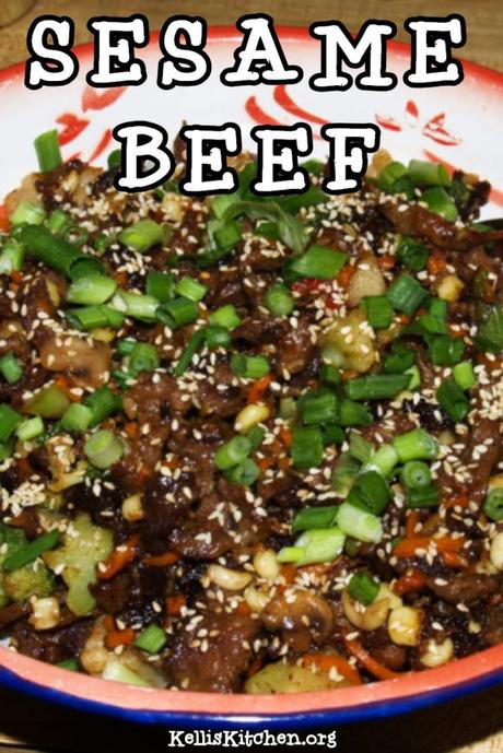 Sesame Beef and Vegetables