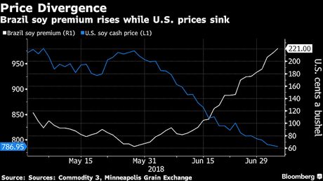 The Damage Is Already Starting From Trump's Trade War