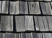 Pros Cons Wood Shingles