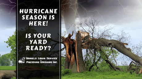 Hurricane Season is Here! Is Your Yard Ready?