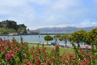 Travel Blog: Day 2-4 | San Fran, Carmel & Pebble Beach