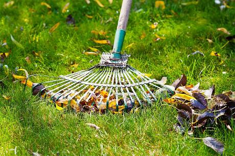 Handy Tips for a Healthier Lawn