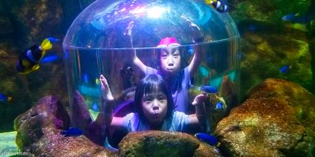 Aquarium adventures at Sea Life Bangkok