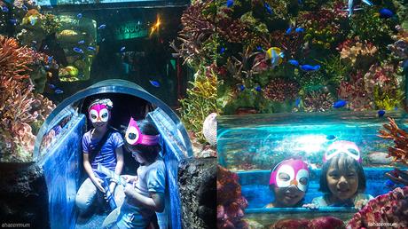 Aquarium adventures at Sea Life Bangkok