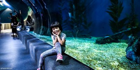 Aquarium adventures at Sea Life Bangkok