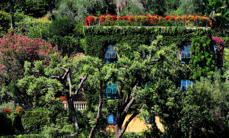 5 Garden Ideas From Around The World You Should Steal