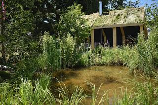 RHS Hampton Court Flower Show part 2 - the Show Gardens and more