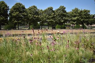 RHS Hampton Court Flower Show part 2 - the Show Gardens and more