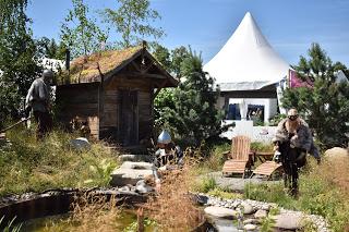 RHS Hampton Court Flower Show part 2 - the Show Gardens and more