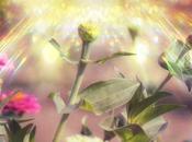 Beautiful Interlude: David's Exultation