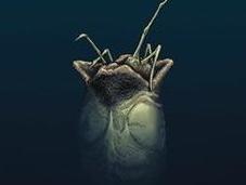 First Look: William Gibson’s Alien Gibson, Christmas Bonvillain