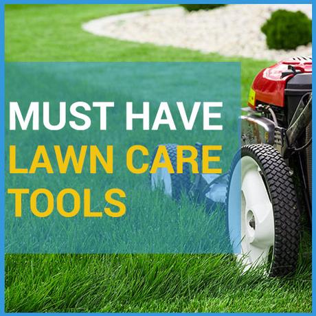 5 Must Have Lawn Care Tools