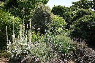 Denmans Garden - visited at last!