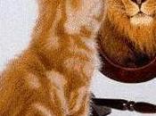 POEM: Perplexed Humanity