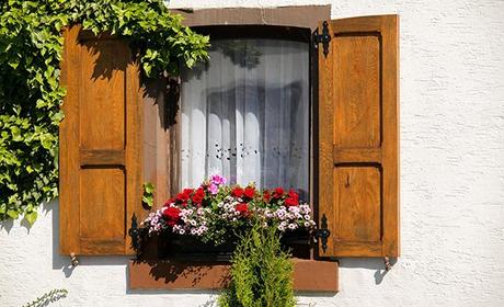Beautiful Window Decorations for Summer