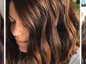 Does Beer Shampoo Really Work?