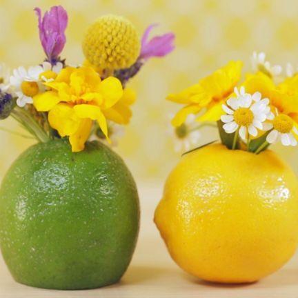 Refreshing Flower Vases