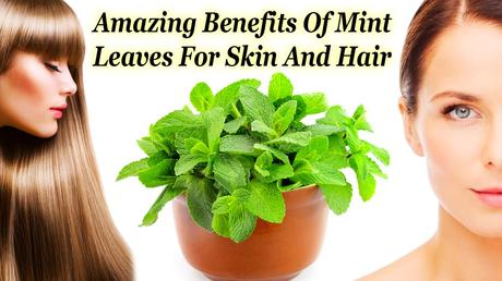 Mint for Skin