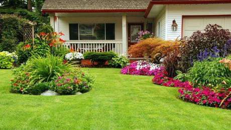 How to Maintain your Garden Properly