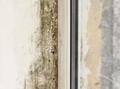 Riddle That Save Your Life