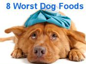 Worst Foods Feed Your