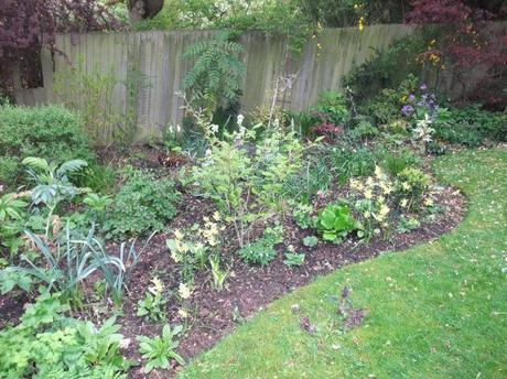 The Woodland Border – 1 Year On