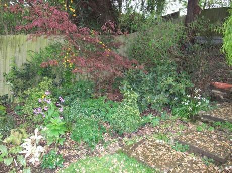 The Woodland Border – 1 Year On