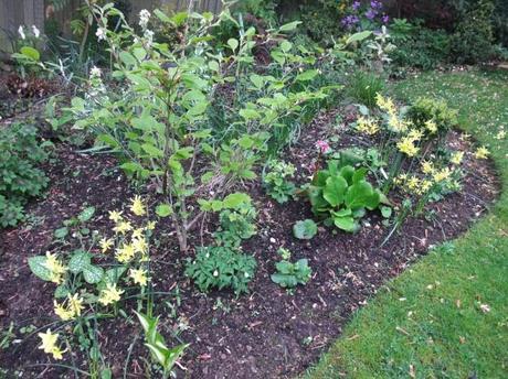 The Woodland Border – 1 Year On