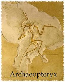 song of the dinosaurs - how birds learned to sing