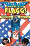 #93 - American Flagg!