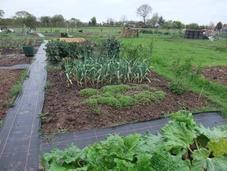 Allotment Year April 2012