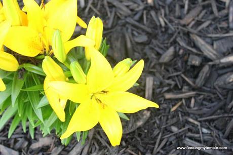 friends and flowers.