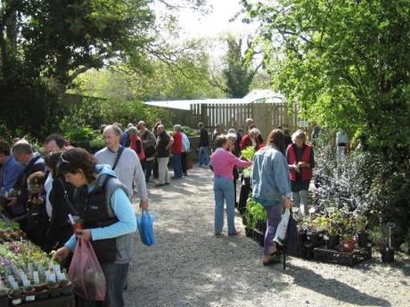 Plant Fair at Crûg Farm Plants, Caernarfon