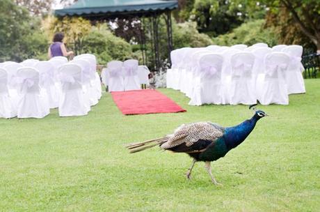 wedding blog photography (37) wedding photography by Louise Bjorling (37)