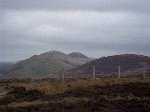 Pentlands, Edinburgh, Midlothian, Hills, Hill walking Dog walking