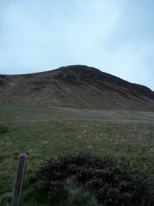 Pentlands, Edinburgh, Midlothian, Hills, Hill walking Dog walking