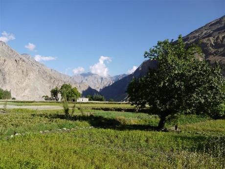 The Baltistan village of Turtuk, Ladakh